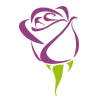 icon png